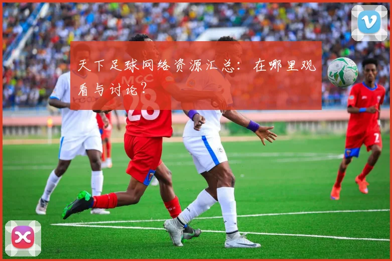 天下足球网络资源汇总:在哪里观看与讨论?
