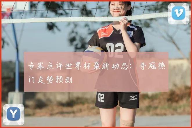 专家点评世界杯最新动态:夺冠热门走势预测