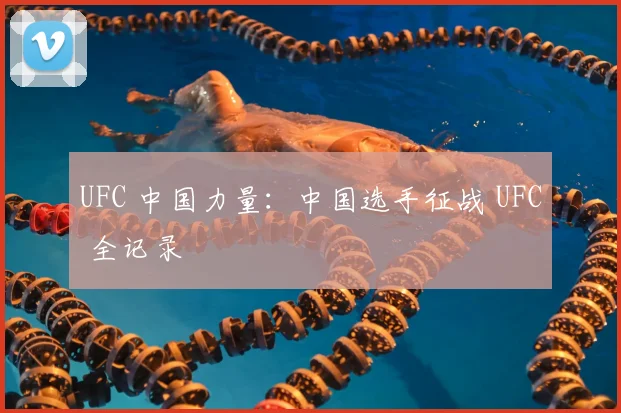 UFC 中国力量:中国选手征战 UFC 全记录